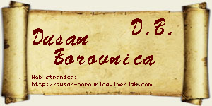 Dušan Borovnica vizit kartica